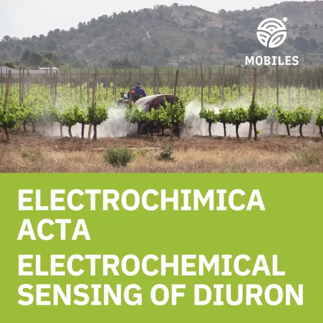 Publication: Electrochimica Acta