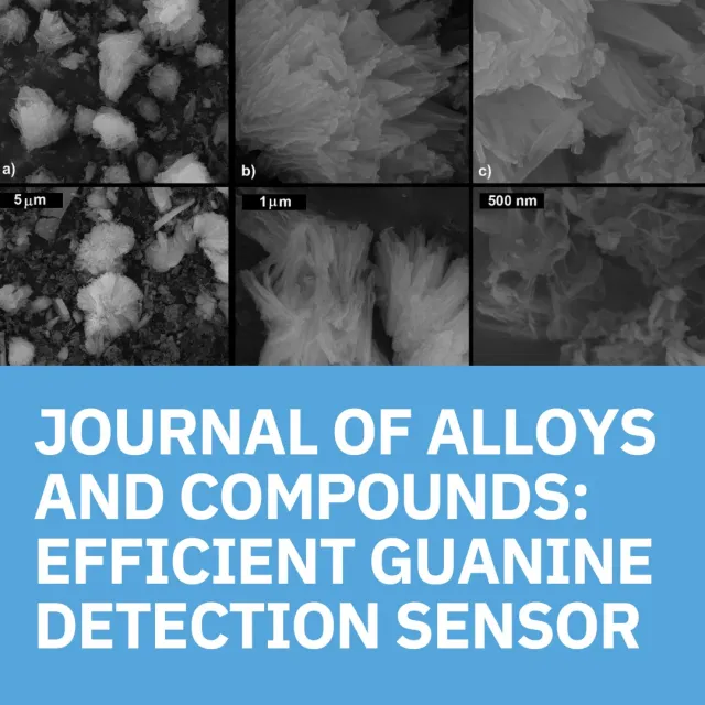 Publication: Journal of Alloys and Compounds