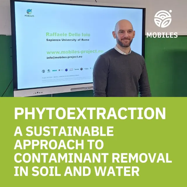 Phytoextraction: A Sustainable Approach to Contaminant Removal in Soil and Water